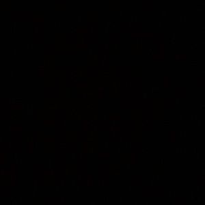 Meet your Posher, Macy